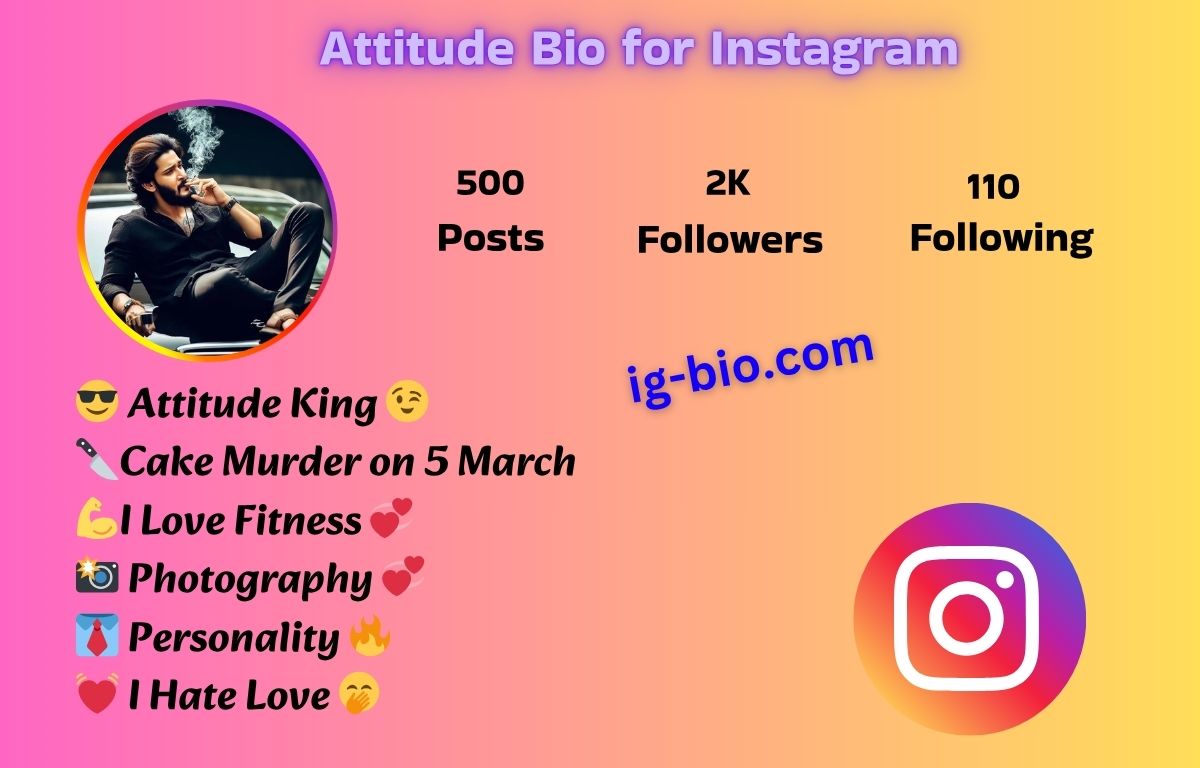 Attitude Bio for Instagram